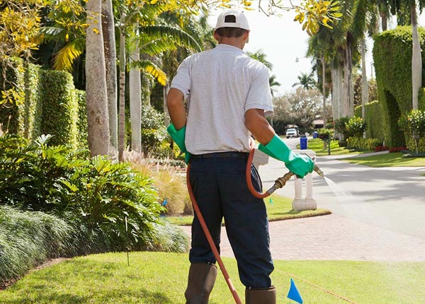 About Garnerville NY Pest Control